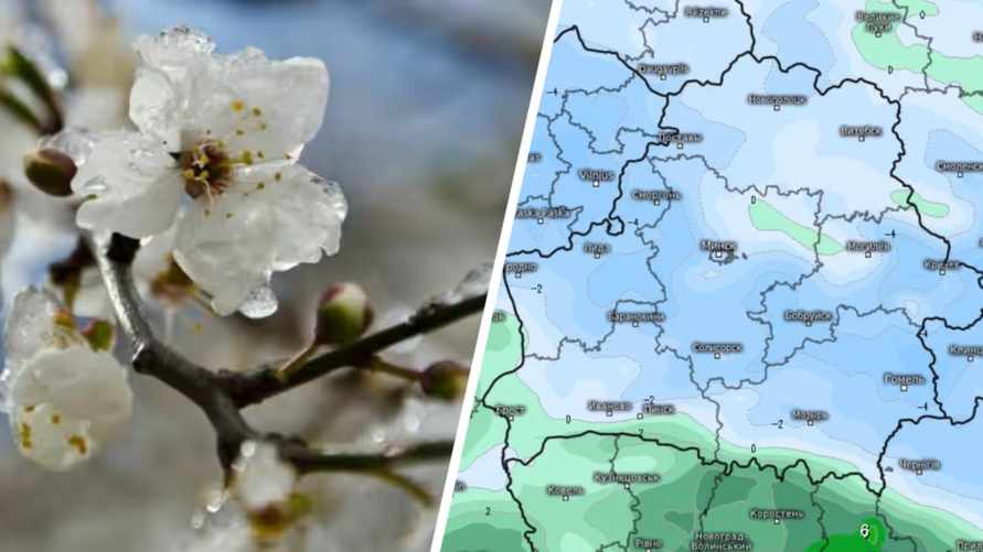 До -5°C. Синоптики призвали белорусов готовиться к испытанию холодом в начале мая