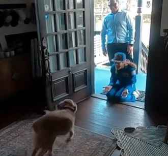 Видео встречи астронавтки «Артемиды II» с псом после полёта на Луну собрало 1,1 млн лайков