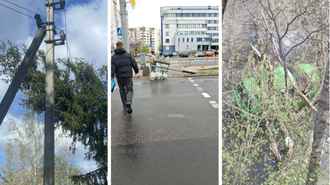 «Оранжевый» ветер в Беларуси валил светофоры, отключал свет и поднимал пылевые бури