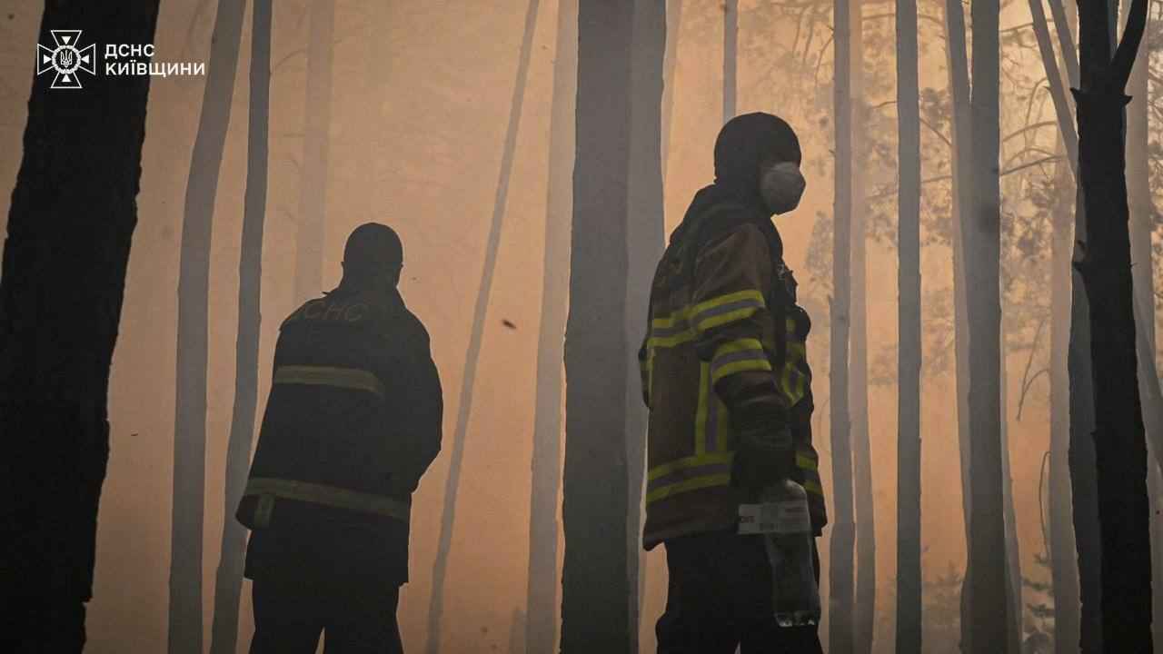 В зоне отчуждения ЧАЭС в Украине разгорелся масштабный лесной пожар