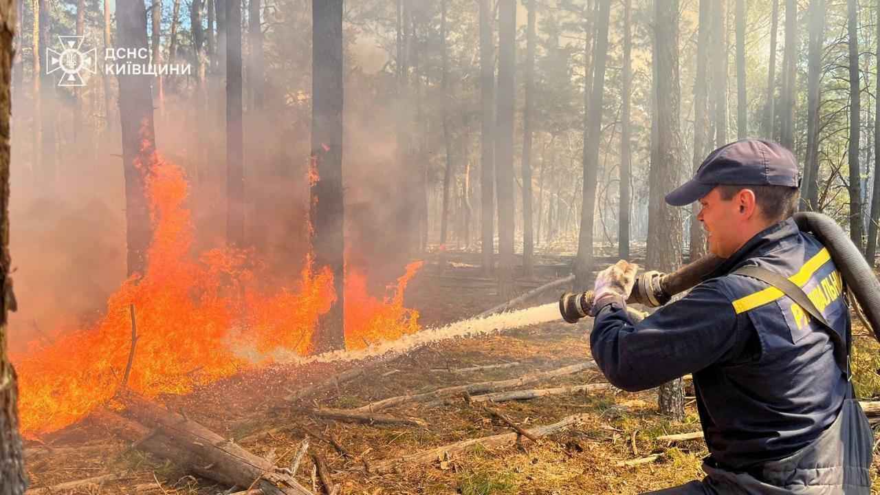 Из-за пожара в зоне ЧАЭС в Украине белорусские лесхозы приграничья перевели на круглосуточное дежурство