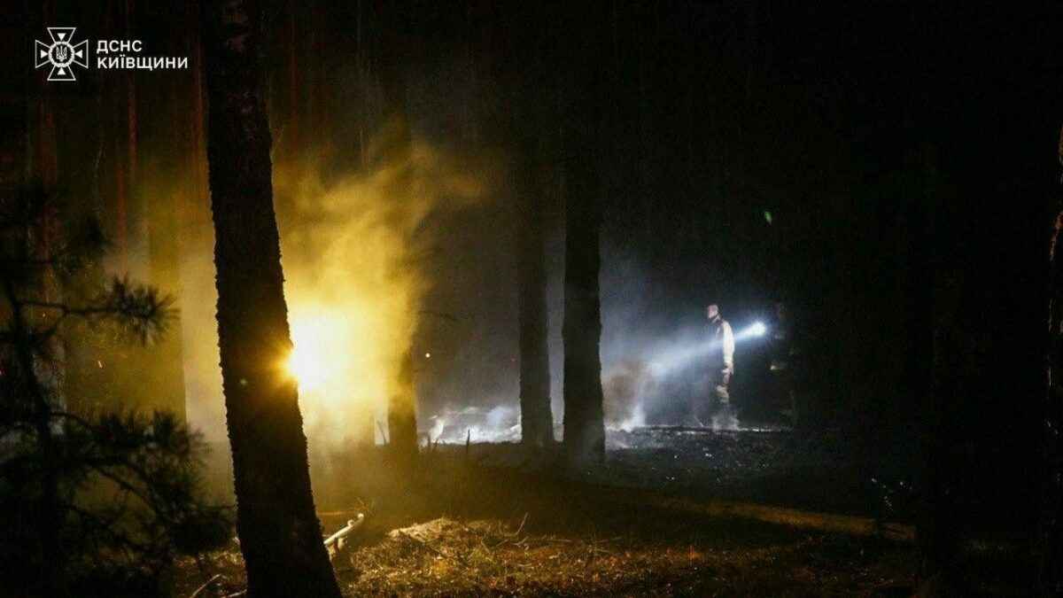 Из-за пожара в зоне ЧАЭС в Украине белорусские лесхозы приграничья перевели на круглосуточное дежурство
