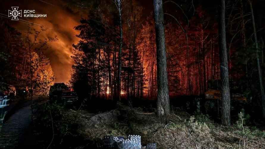 Из-за пожара в зоне ЧАЭС в Украине белорусские лесхозы приграничья перевели на круглосуточное дежурство