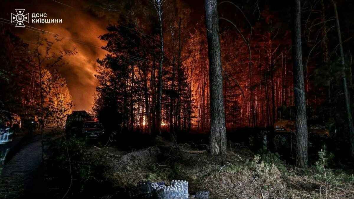 Из-за пожара в зоне ЧАЭС в Украине белорусские лесхозы приграничья перевели на круглосуточное дежурство